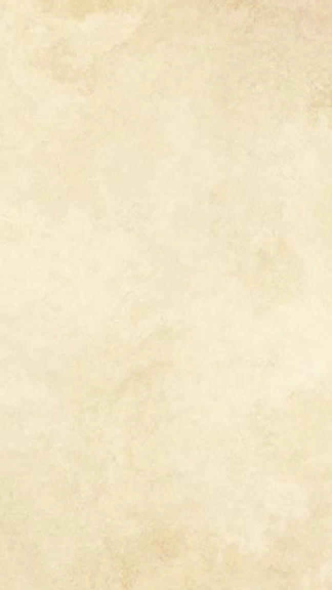JANEDSON Background 3